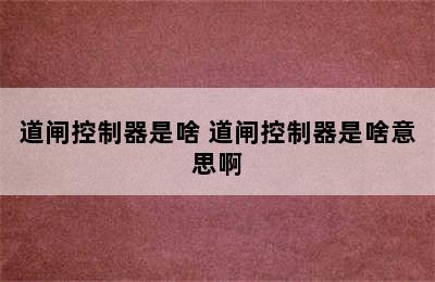 道闸控制器是啥 道闸控制器是啥意思啊